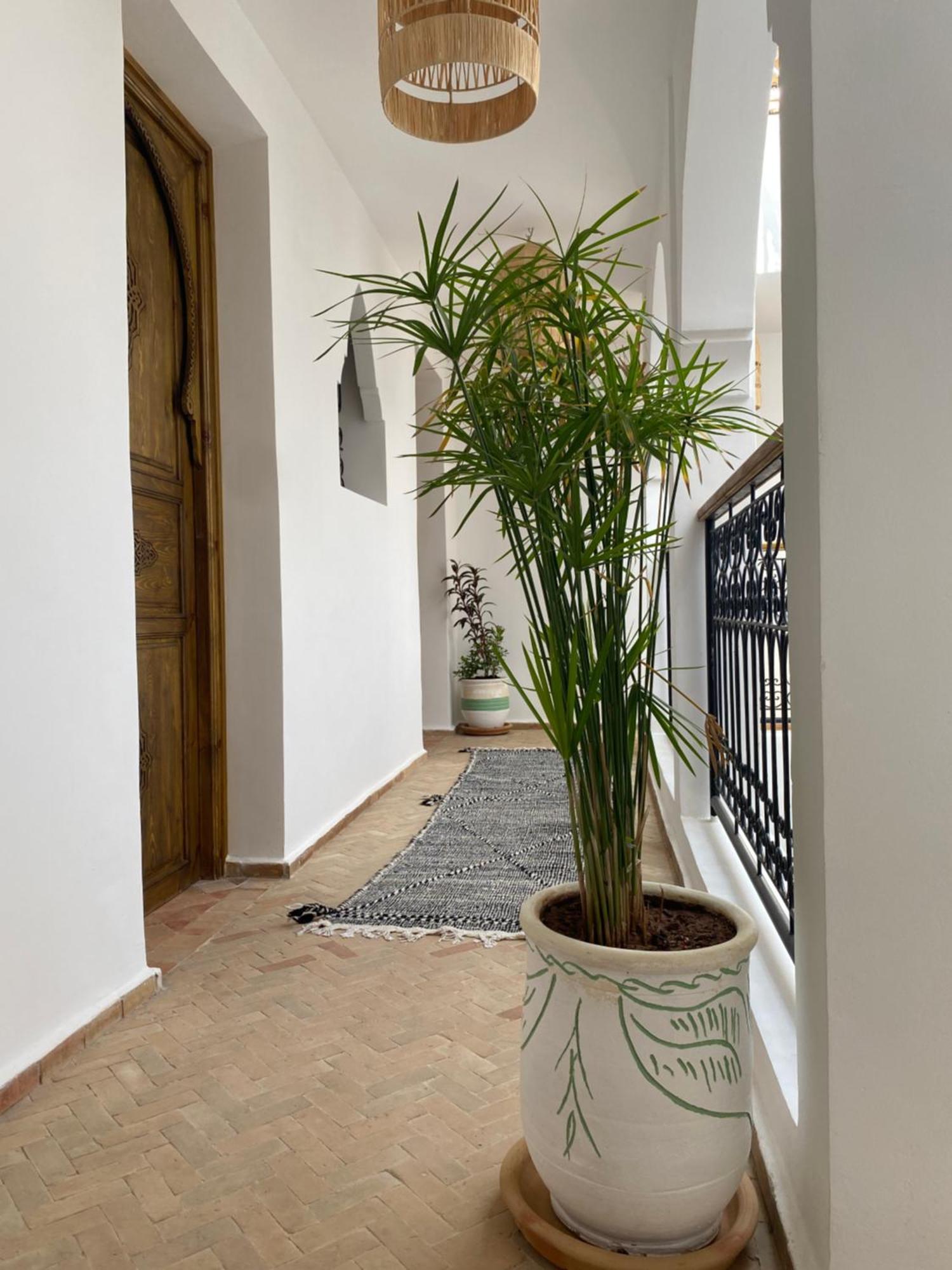 Riad & Spa Sous Le Soleil Chez Jerome Et Pamela Ch Zen Marrakesh Eksteriør billede